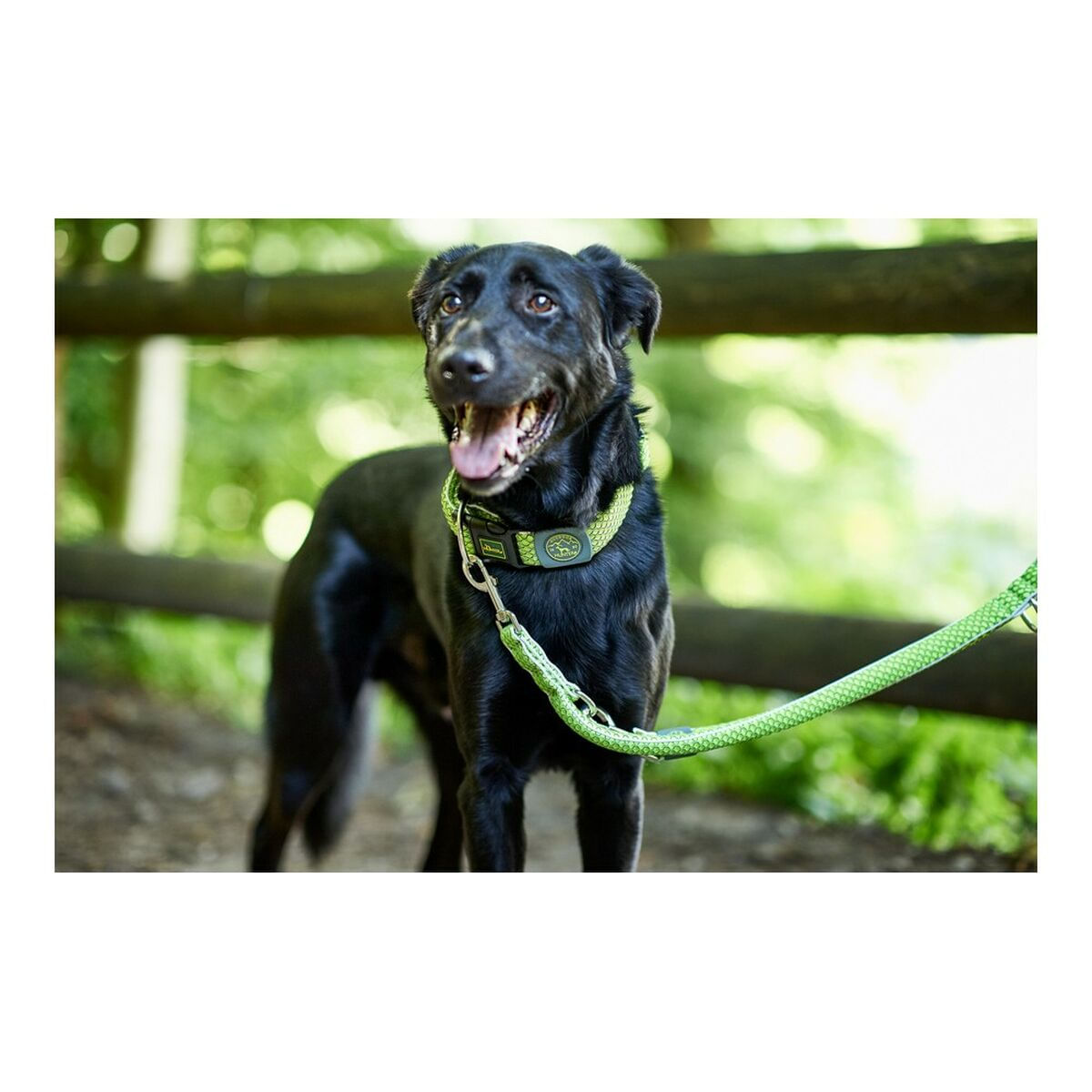 Lesa pentru caine Hunter HILO Lamaie verde (200 cm) - 3 | YEO