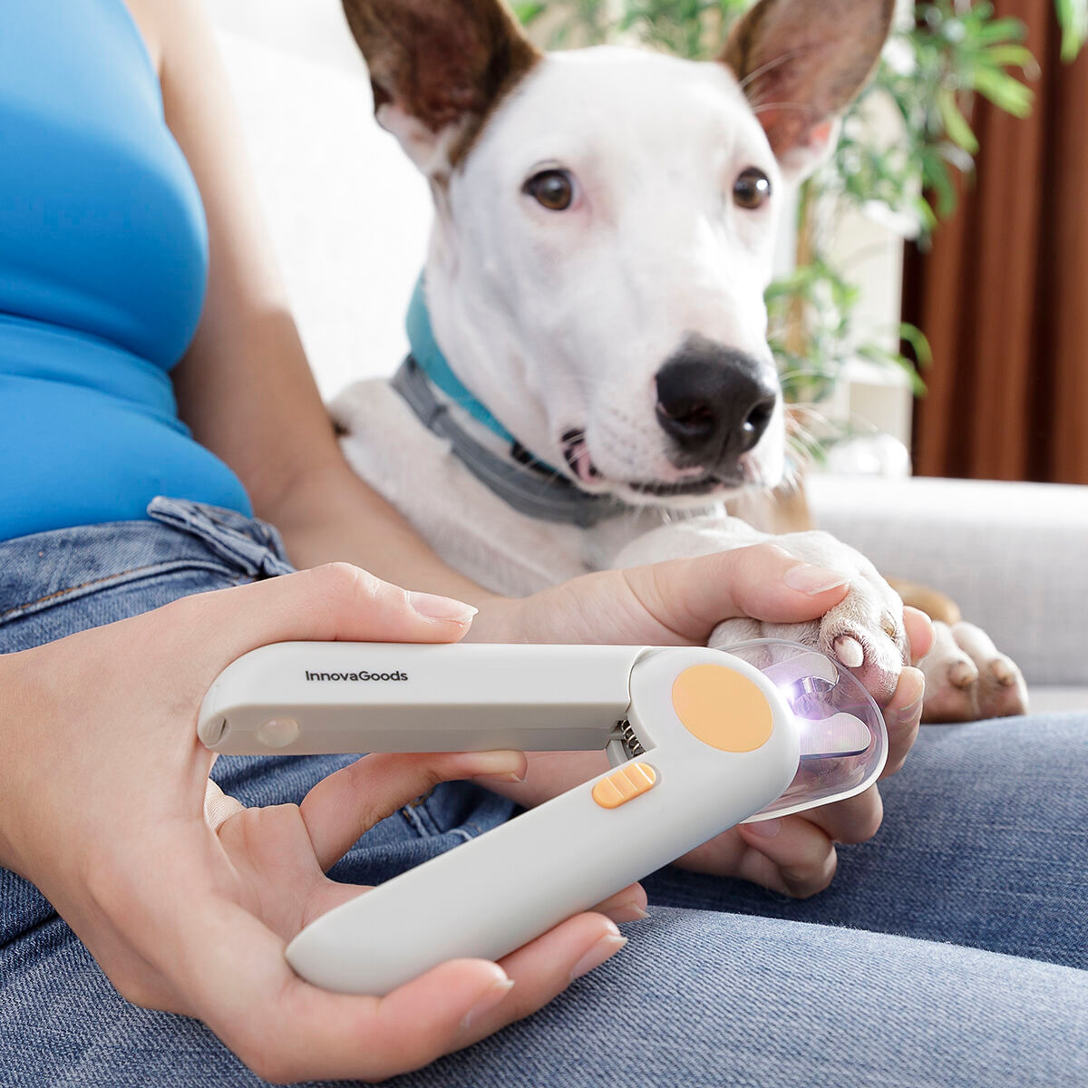 Unghiera cu LED pentru animale de companie Clipet InnovaGoods