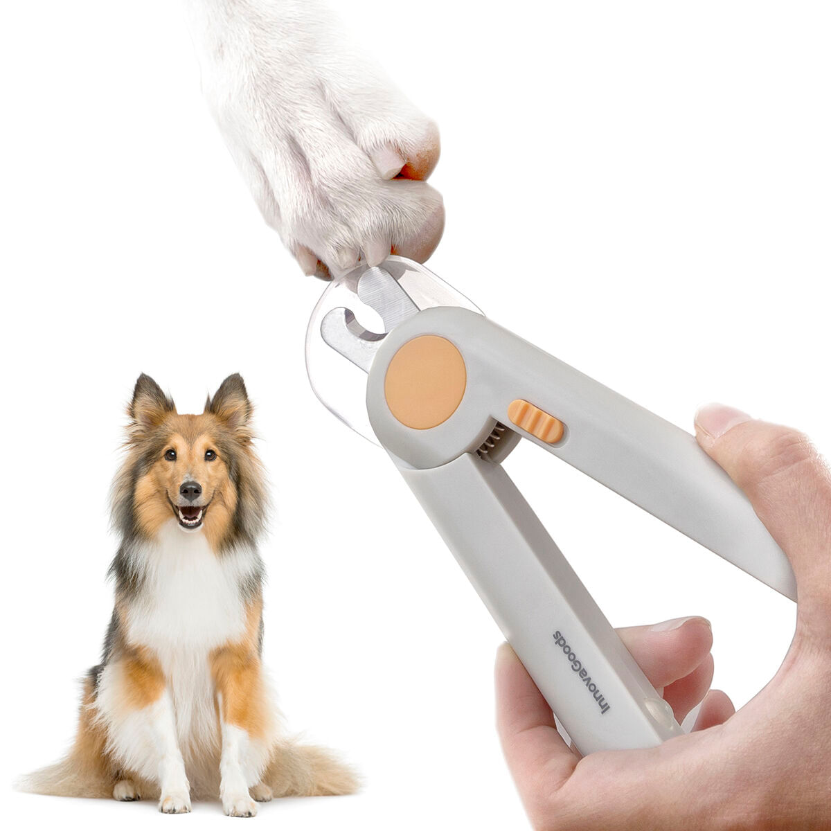 Unghiera cu LED pentru animale de companie Clipet InnovaGoods - 5 | YEO