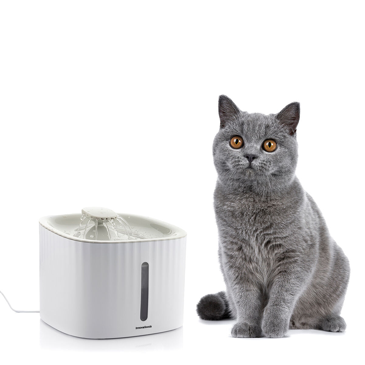 Fantana pentru animale de companie Drinkatt InnovaGoods - 4 | YEO