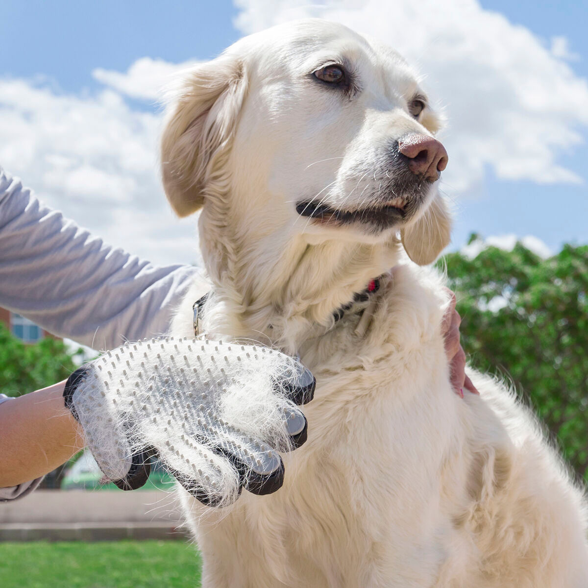 Manusa pentru Perierea si Masarea Animalelor de Companie Relpet InnovaGoods