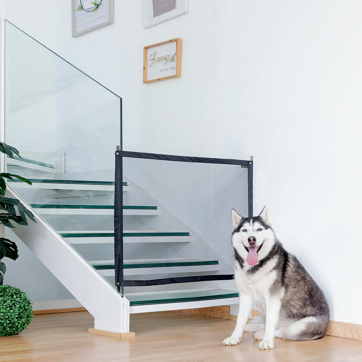 Plasa de siguranta pentru animale de companie Petinu InnovaGoods