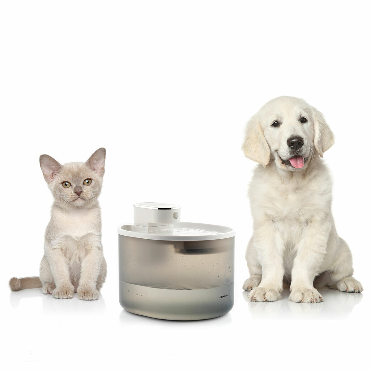 Fantana Reincarcabila pentru Pisici cu Senzor Refopet InnovaGoods - 4 | YEO