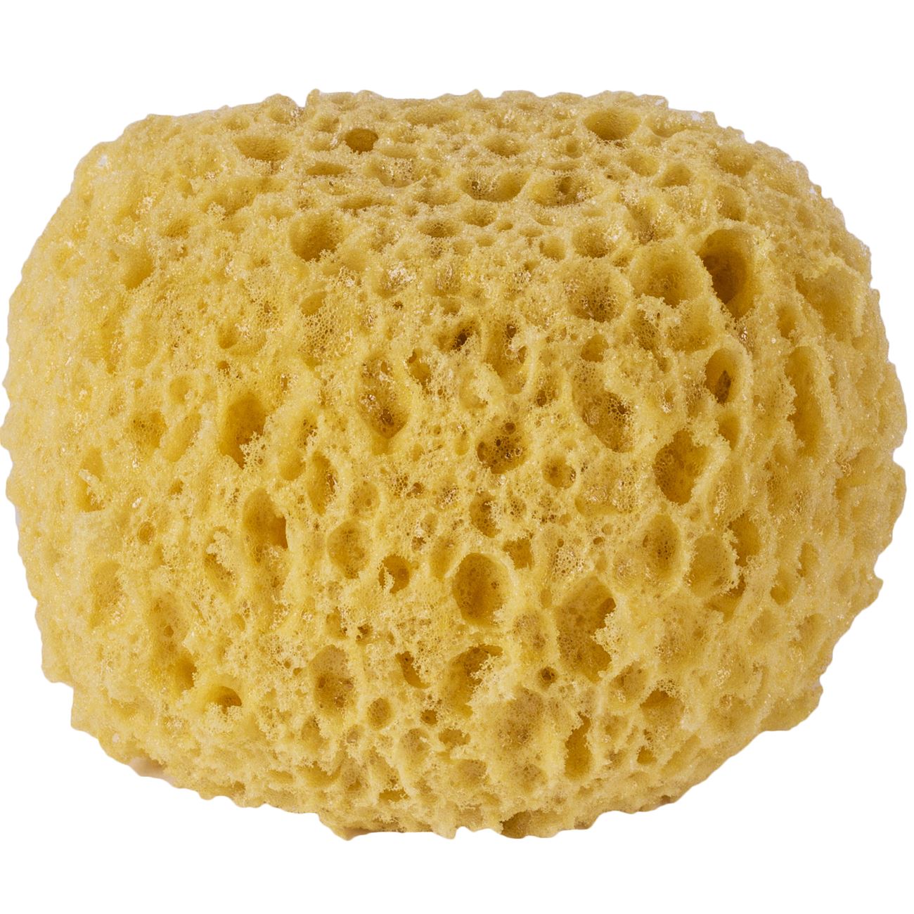 Burete baie natural, diametru 10cm, grosime 7cm