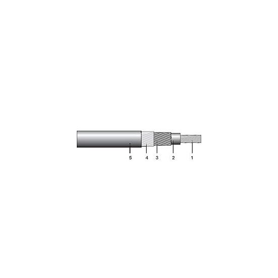 Cablu electric, ACBYCY 10/10
