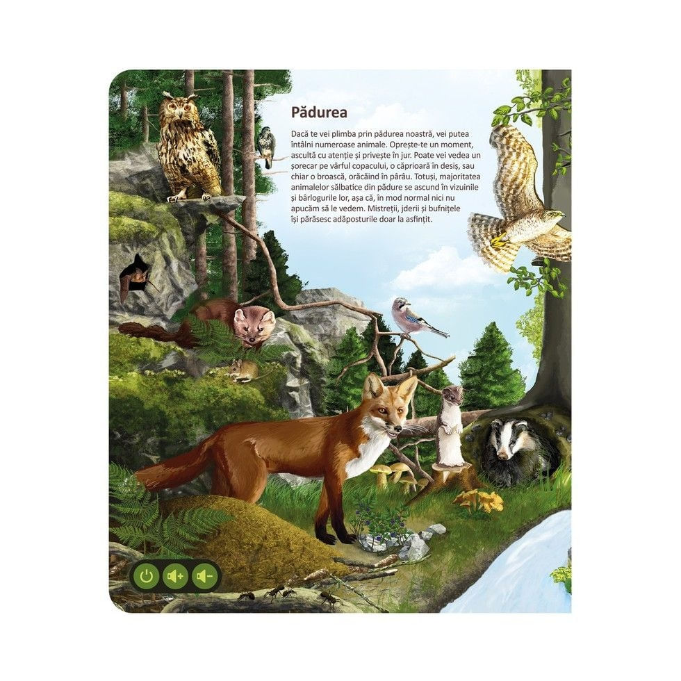 Carte Raspundel - Lumea Animalelor - 1 | YEO
