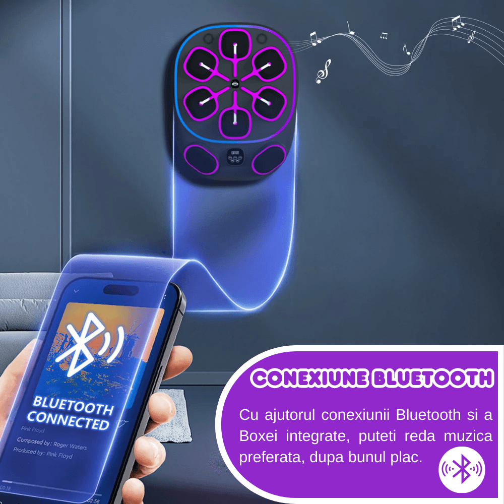 Tinta lovituri Box, Danesso®, Difuzor Dublu incorporat, Conexiune Bluetooth, Manusi Incluse, Pentru Copii si Adulti
