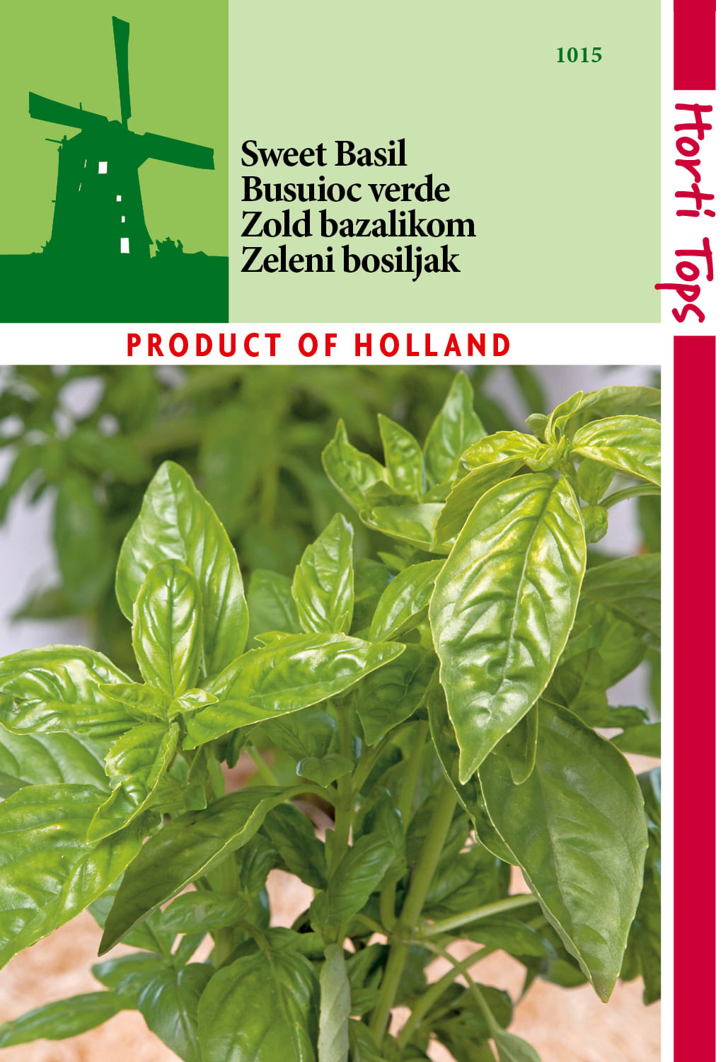 Seminte busuioc verde 1g — imaginea 2