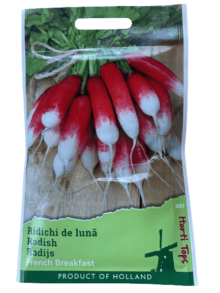 Seminte ridichi de luna, French Breakfast, 10g — imaginea 2