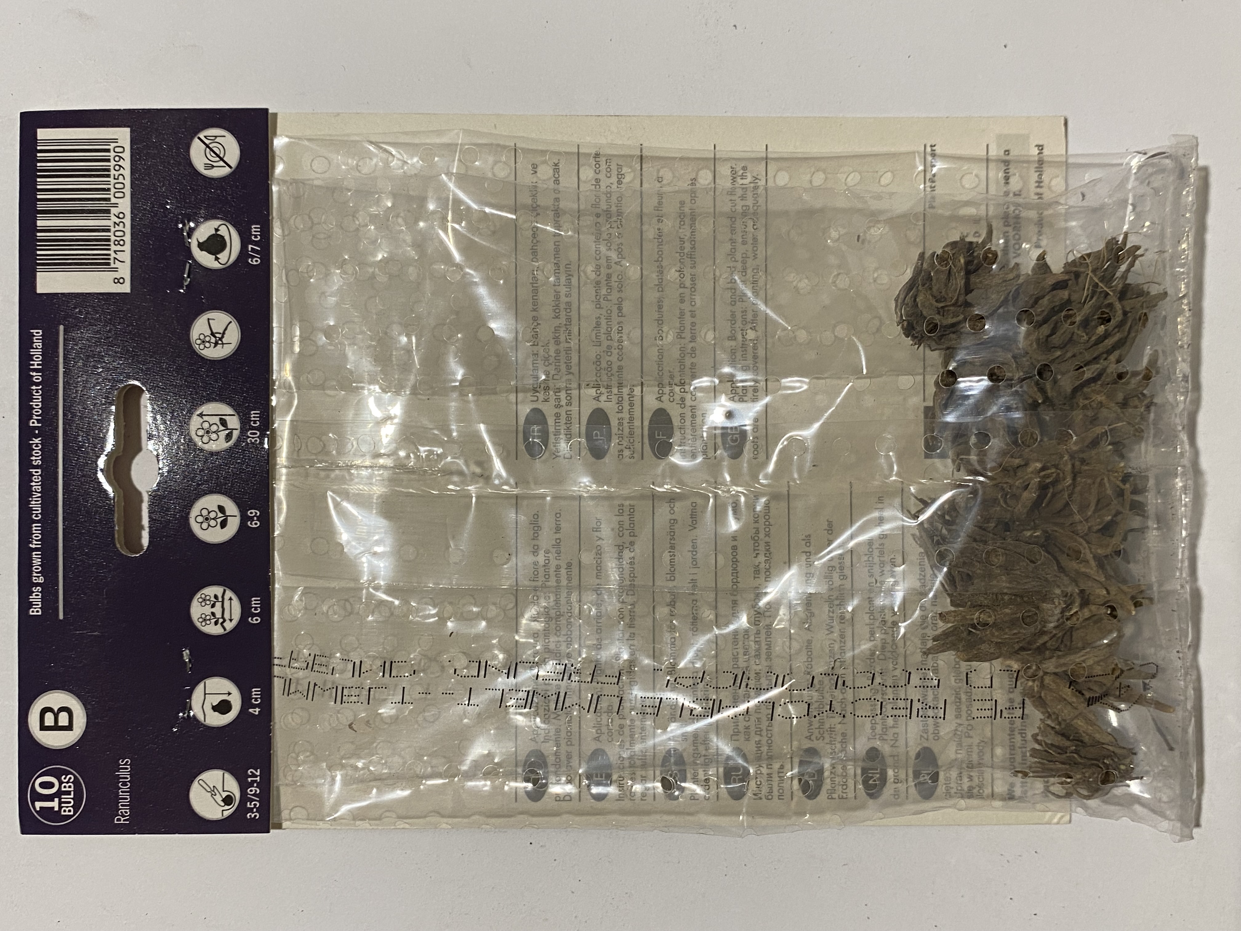 Bulbi, Ranunculus rosu, 10 buc, 35 g — imaginea 3