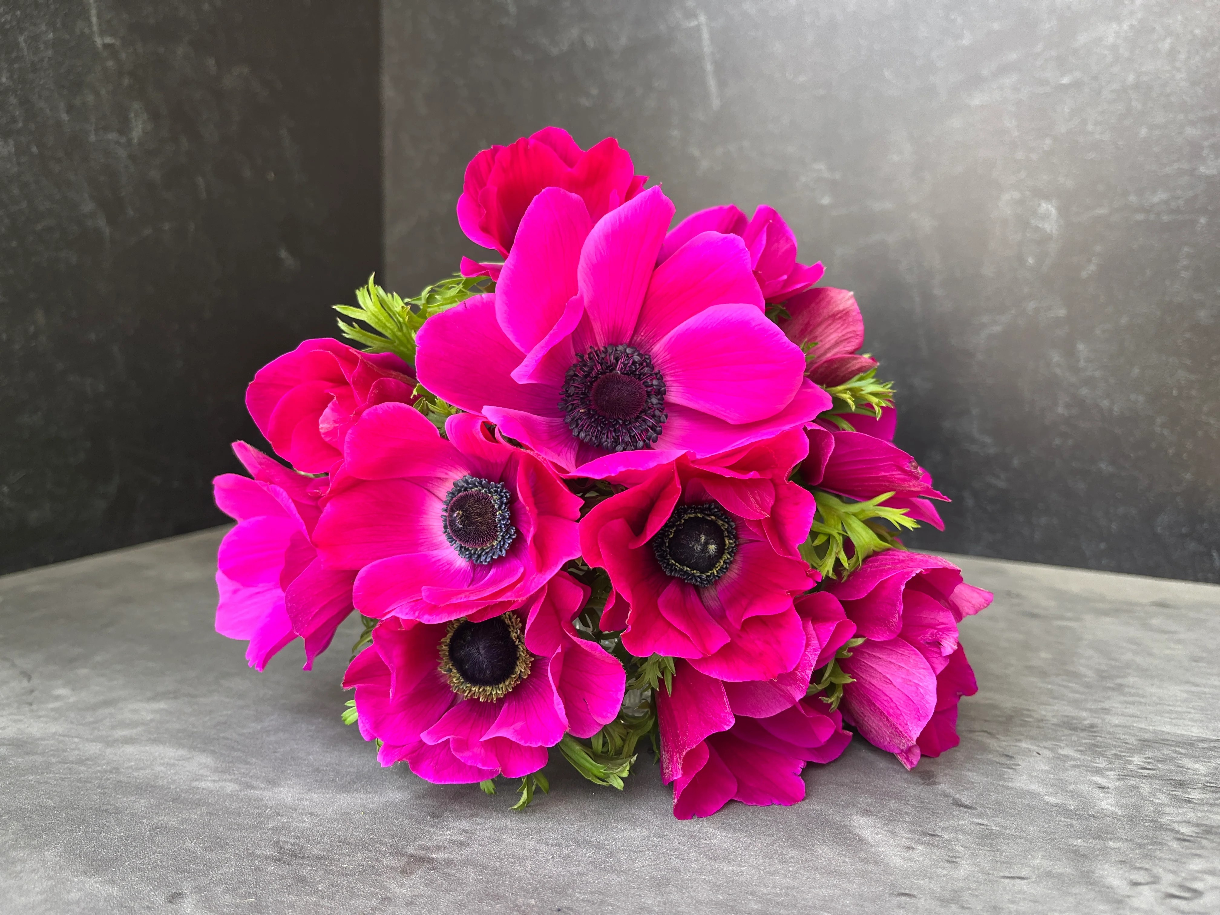 Bulbi Anemone, Coronaria Sylphide, Roz, 5/6, 10 bulbi