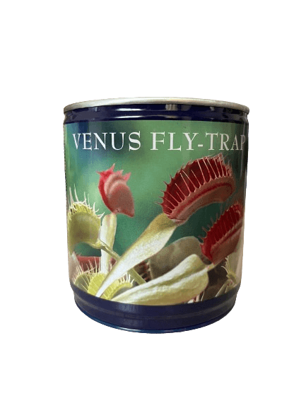 Kit de gradinarit, Prinde muste, Venus flytrap