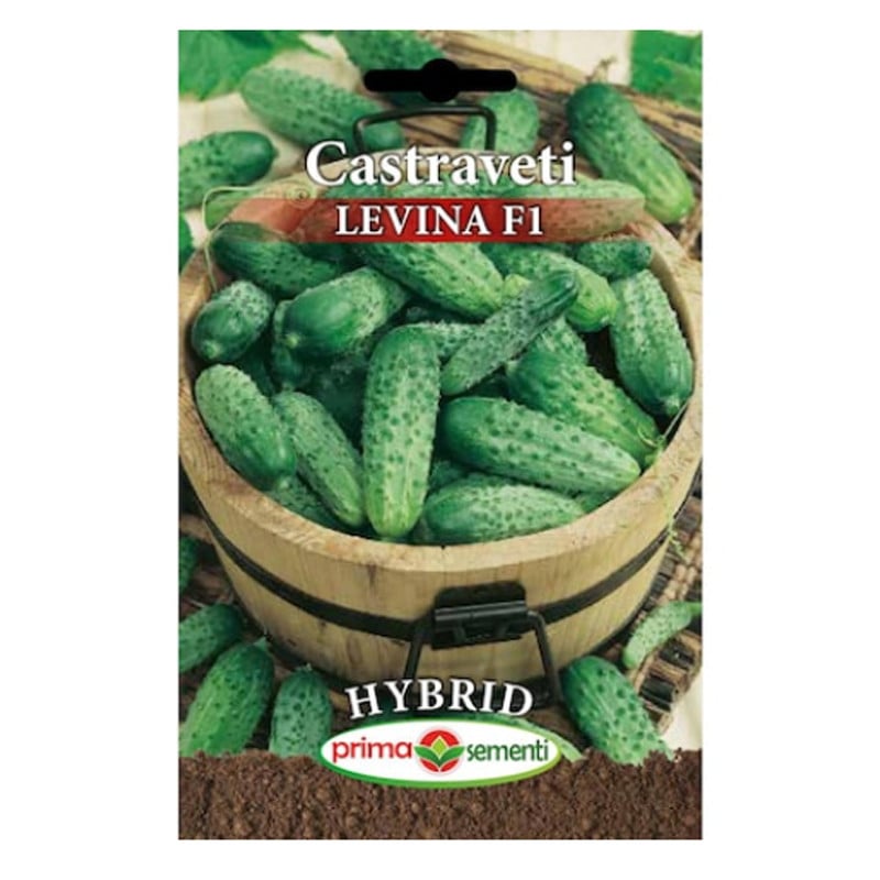 Seminte castraveti Levina F1, 10 gr, Prima Sementi