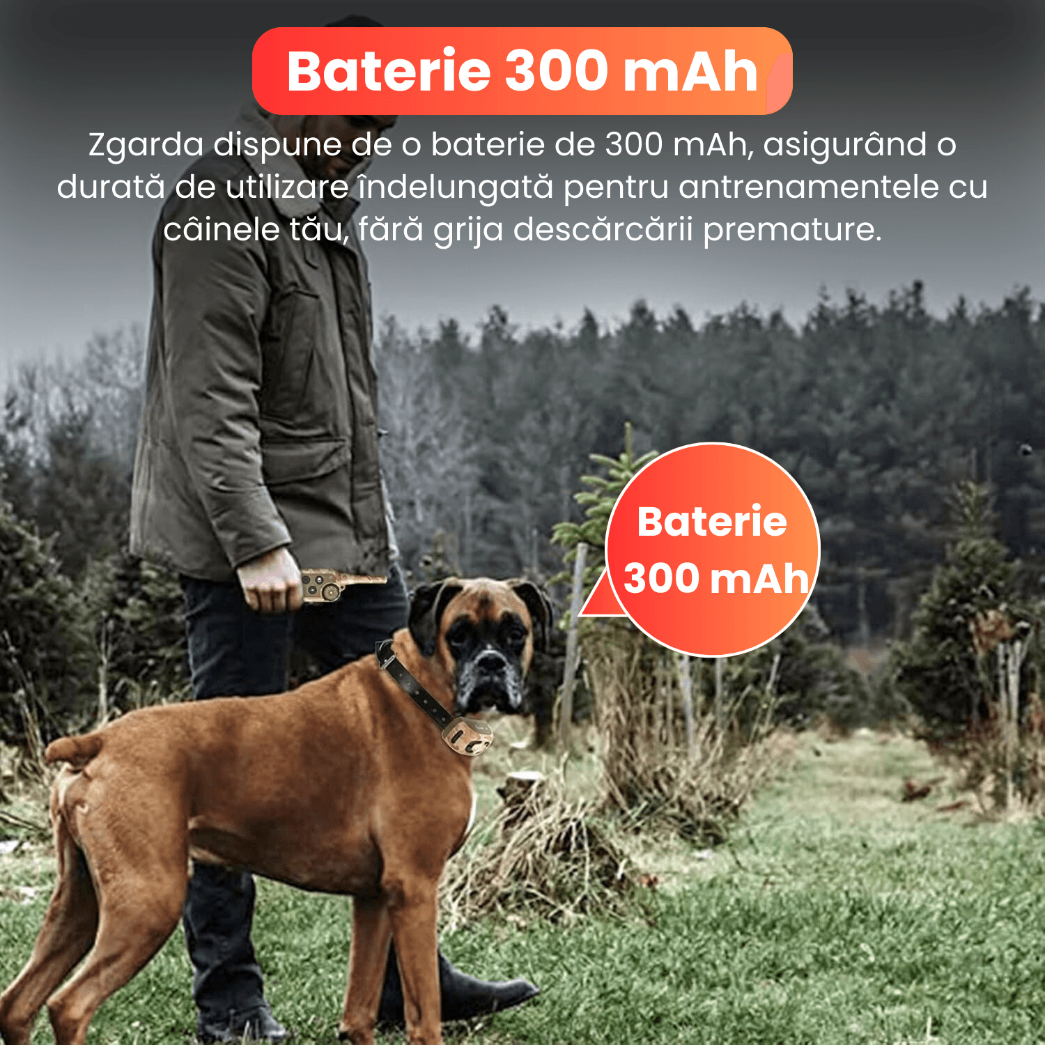 Zgarda electrica pentru dresaj caini, 4 moduri de antrenament, 99 nivele de vibrati, raza actiune 800 m, IP67, camuflaj