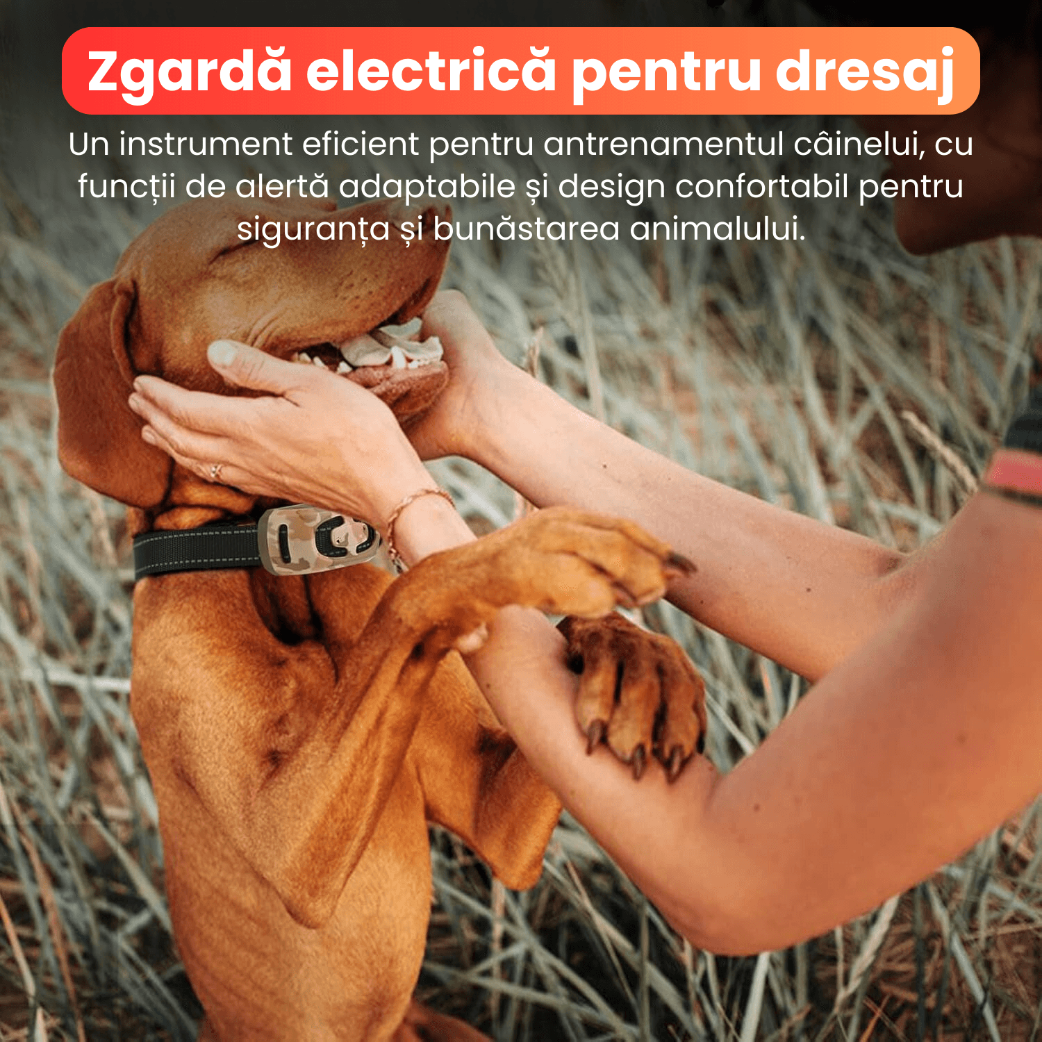 Zgarda electrica pentru dresaj caini, 4 moduri de antrenament, 99 nivele de vibrati, raza actiune 800 m, IP67, camuflaj - 3 | YEO