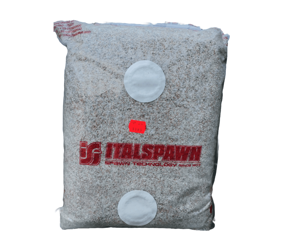 Miceliu pentru Pleurotus Italspawn