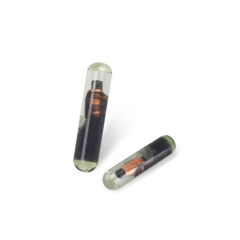 Cip Transponder Techstar® ID48, T6, Sticla, Unlocked, Compatibil gama VAG - 4 | YEO