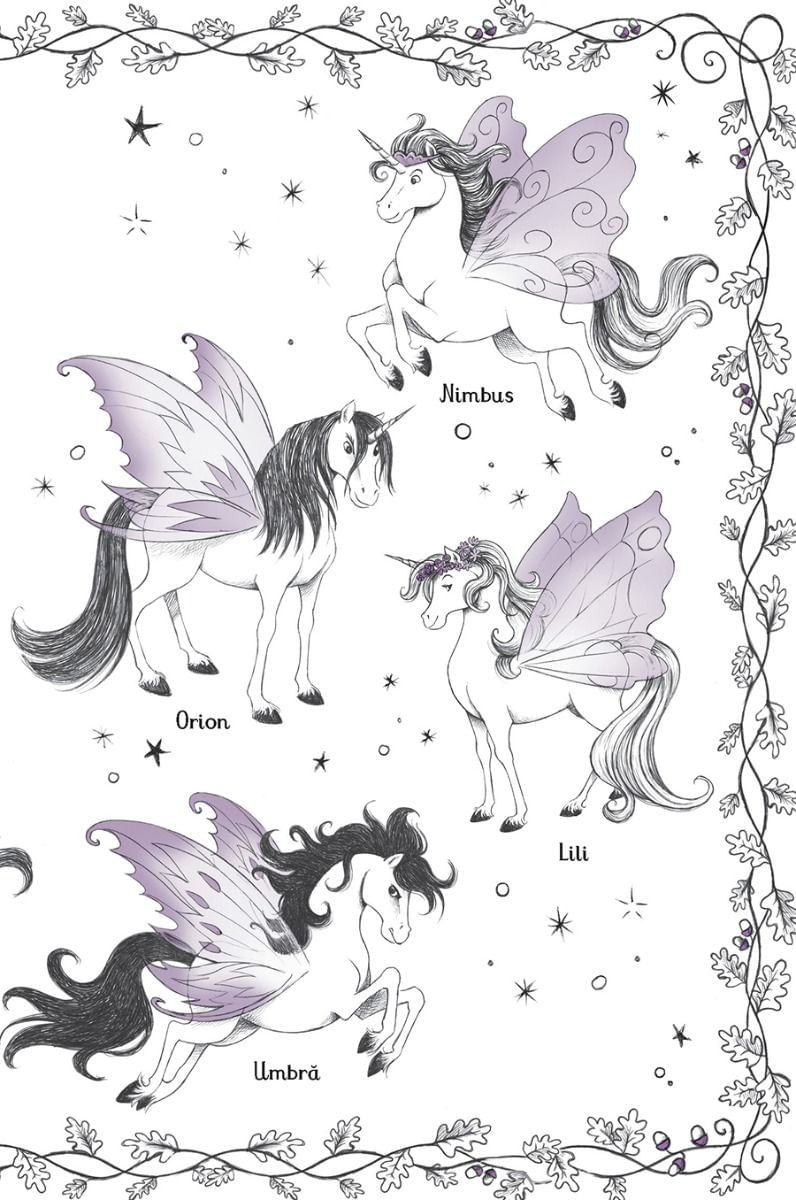 Unicornii magici. Padurea fermecata (Usborne) - 2 | YEO