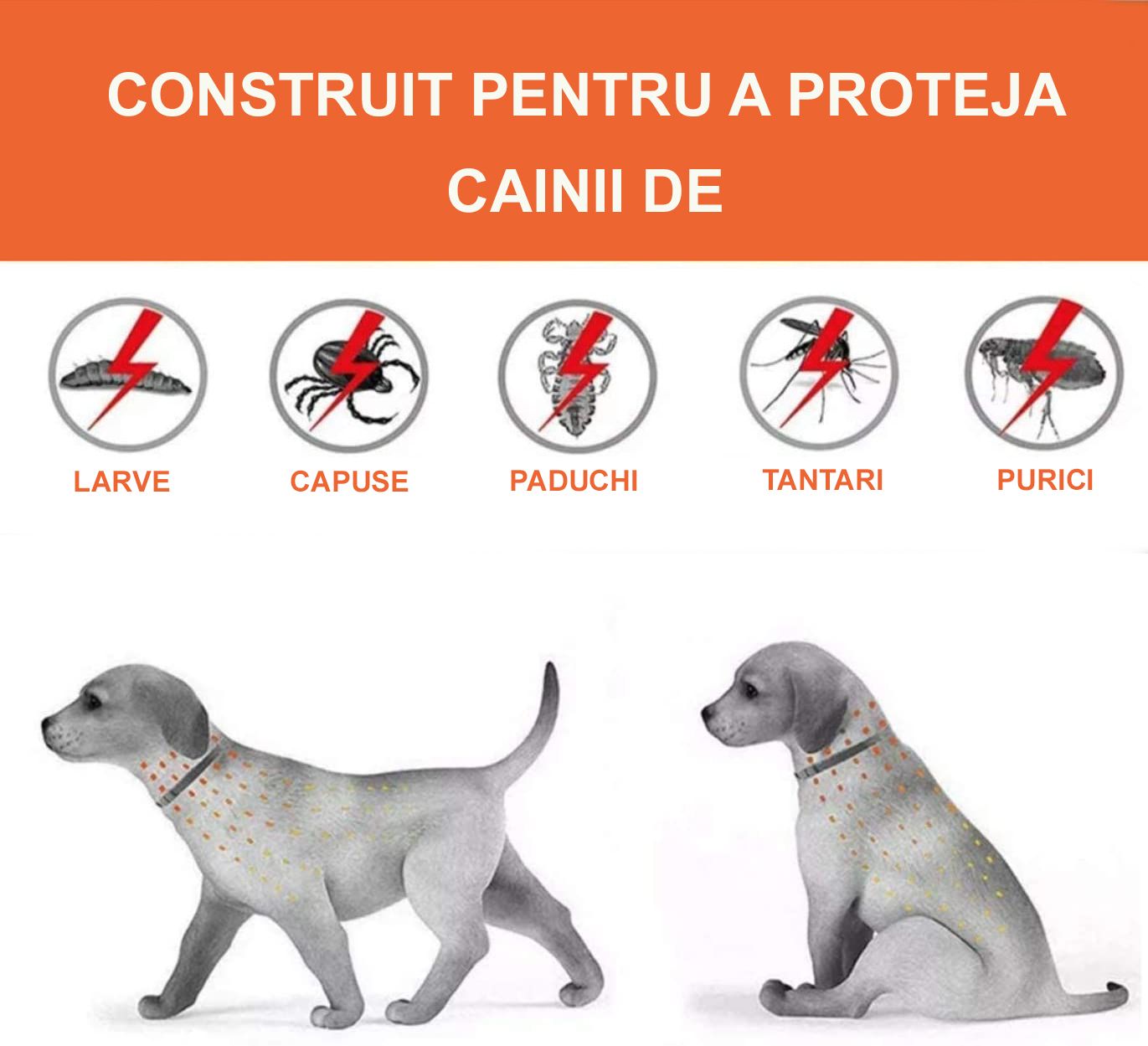 Zgarda Antiparazitara Caini MRG M910 , Pana la 62 cm, din Plante, Anti Purici , Capuse