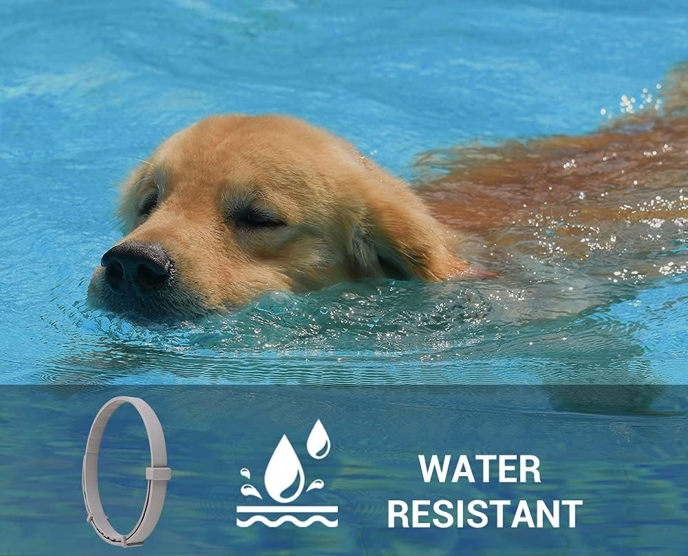 Zgarda Antiparazitara Caini MRG M910 , Pana la 62 cm, din Plante, Anti Purici , Capuse