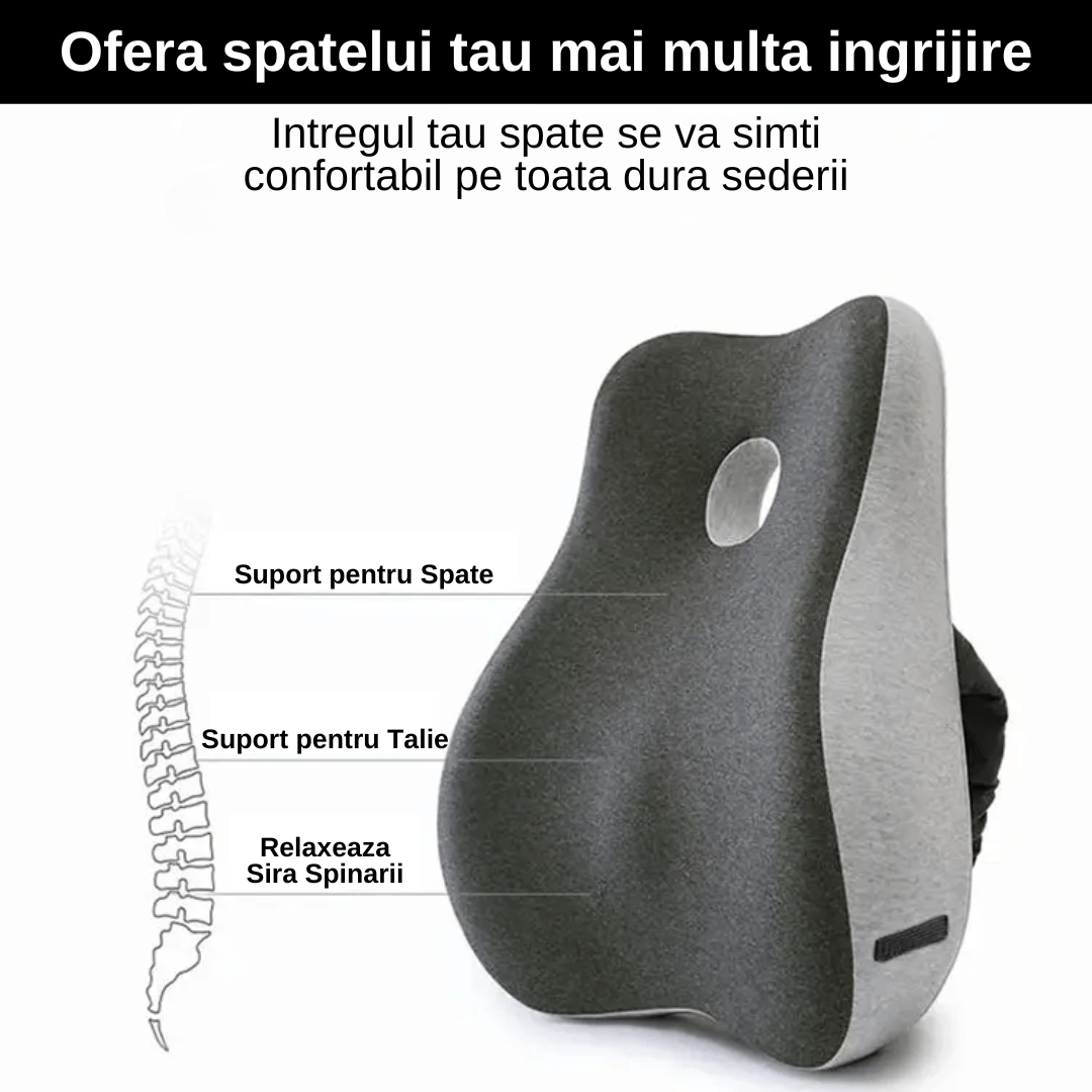 Set 2 Perne Ortopedice LUDORA®, Spuma cu memorie Premium, Perna lombara completa & Perna sezut
