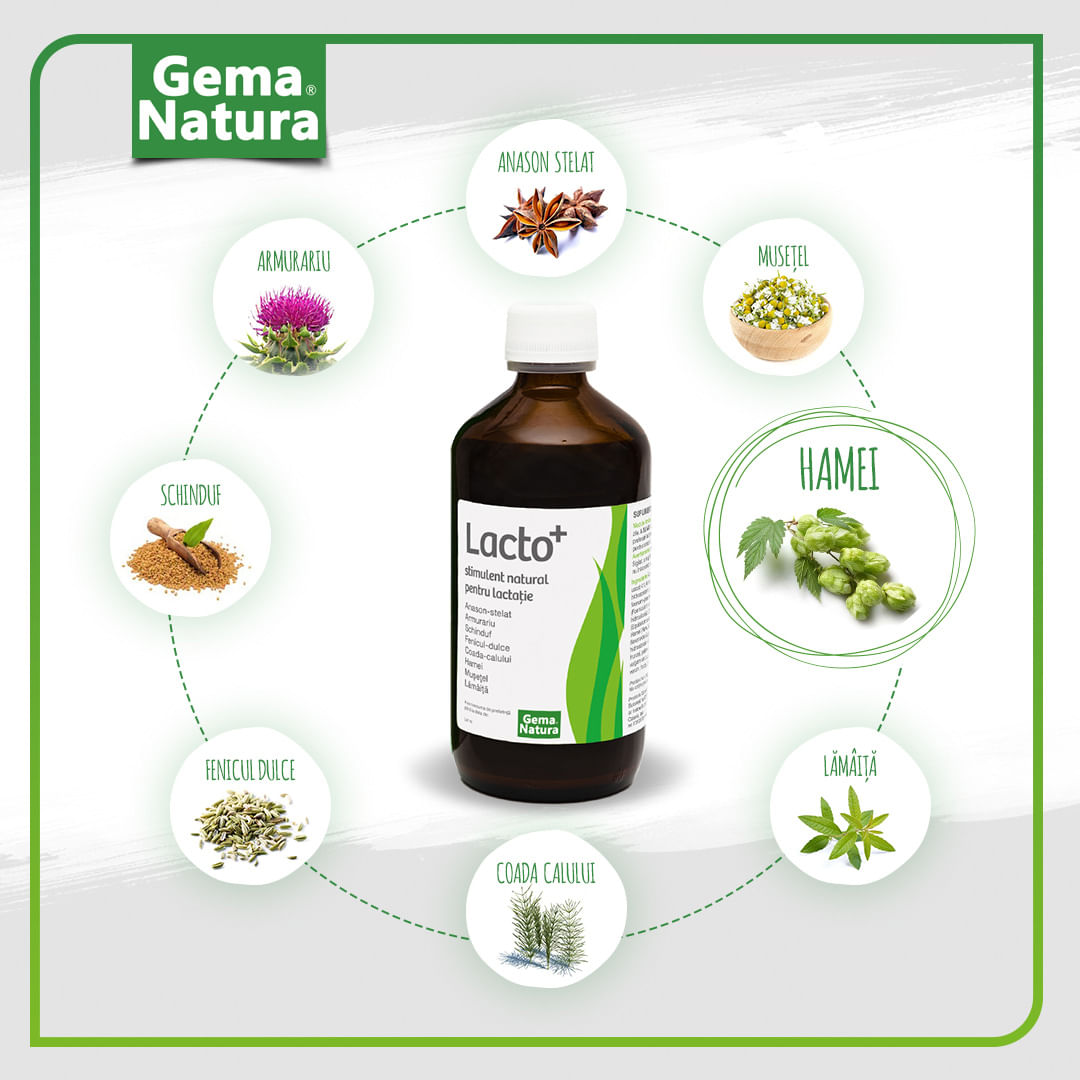 Lacto+ Stimulent pentru lactatie, Gema Natura, 250ml - 1 | YEO