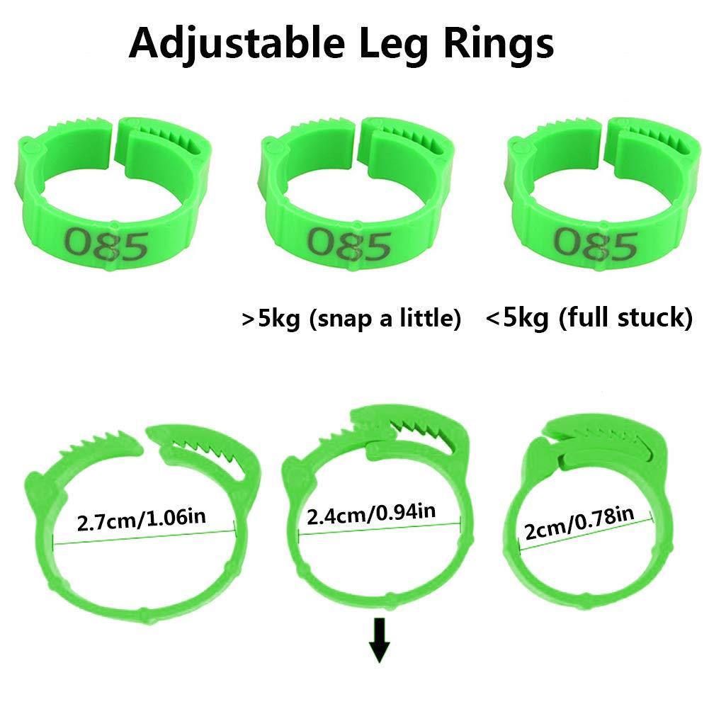 Inele reglabile pentru gaini, 100 bucati, Verde - imagine 2