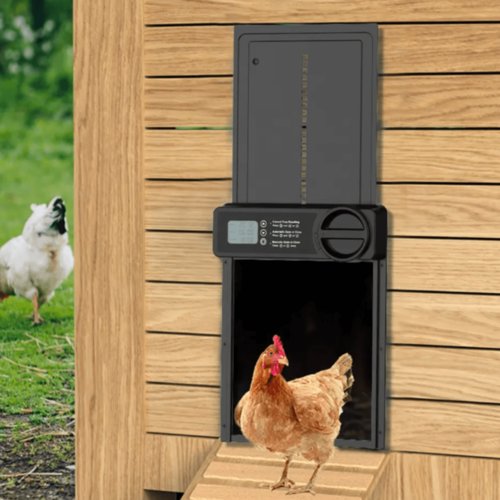 Usa Automatizata Pentru Cotet Pasari,Adsinio,Alimentata cu Baterii AA,Programabil Deschidere si Inchidere Automata,Negru - imagine 5
