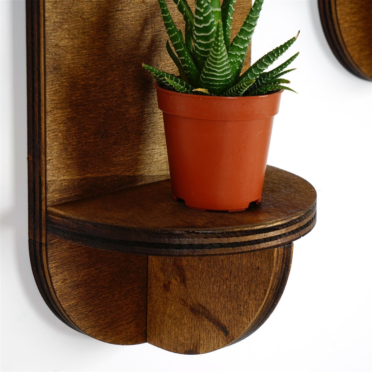 Raft de perete, Hanah Home, placaj, nuc, 13x26x9 cm (2 bucati) — imaginea 6