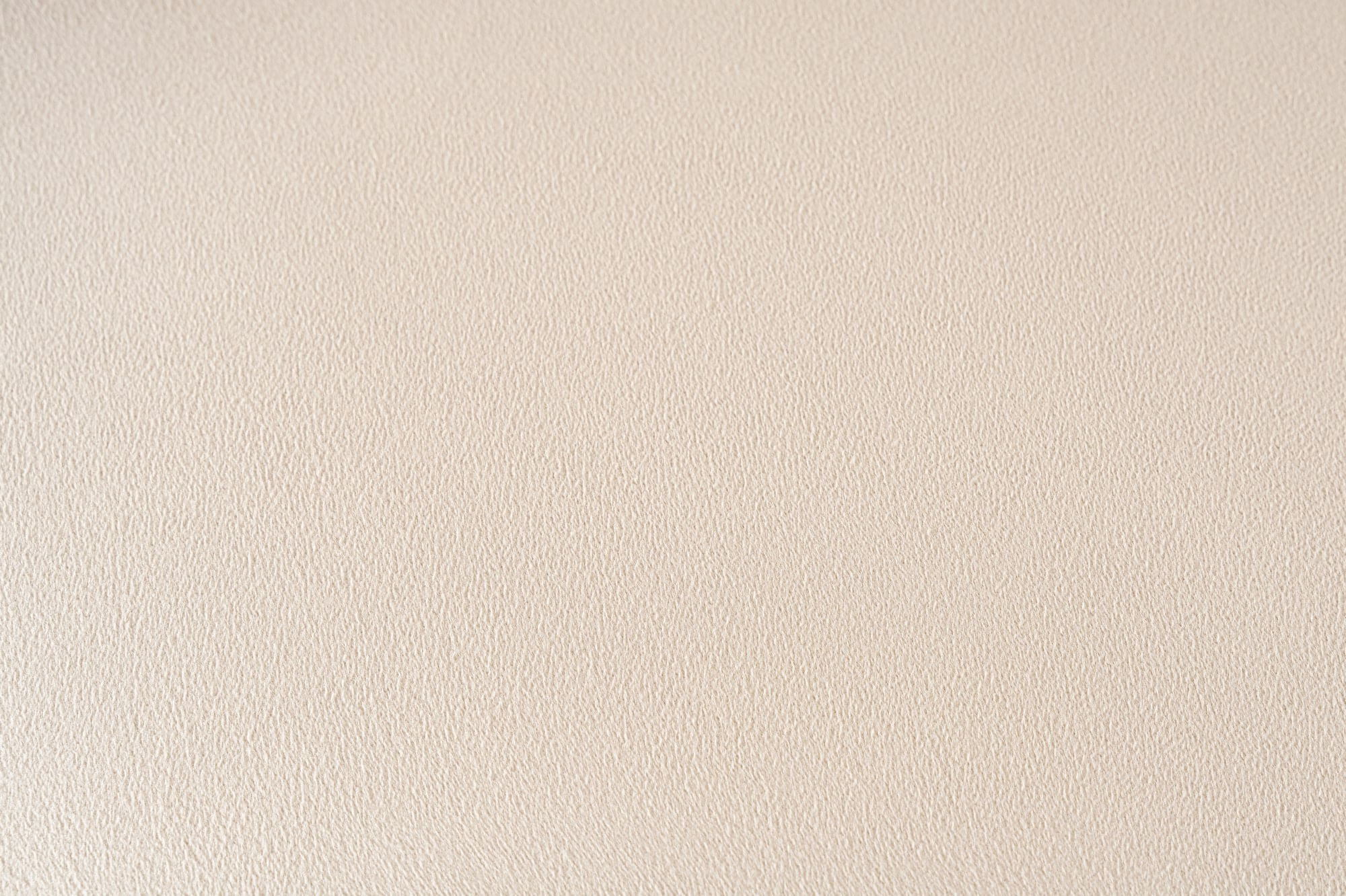 Canapea 2 locuri, Atelier Del Sofa, in, crem, 220x108x65 cm — imaginea 9