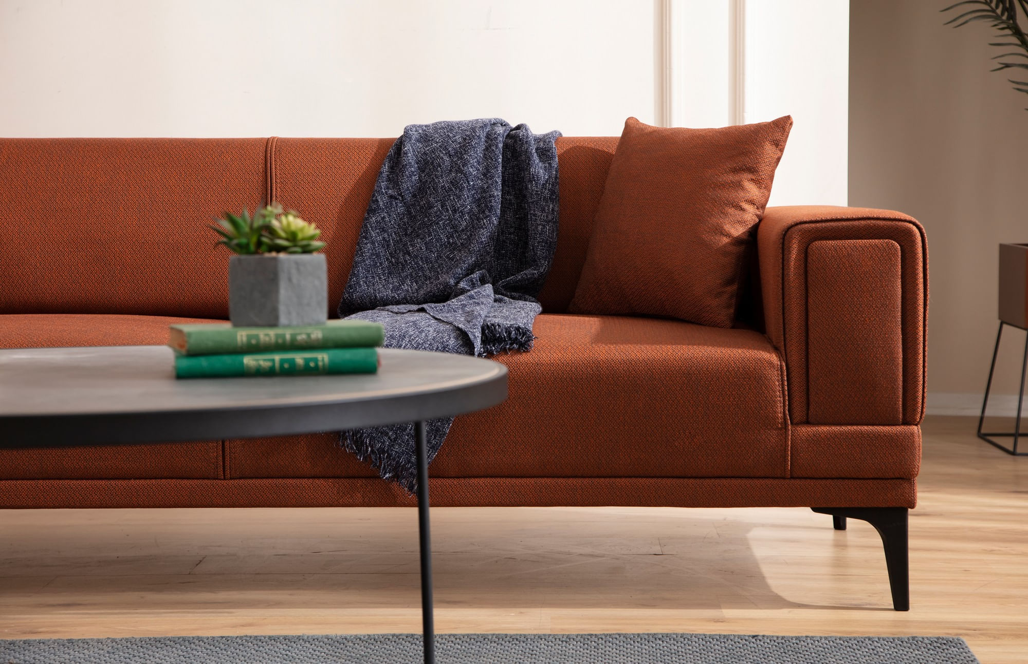 Canapea 2 locuri, Atelier Del Sofa, lemn fag si pal, rosu tigla, 170x85x77 cm — imaginea 5