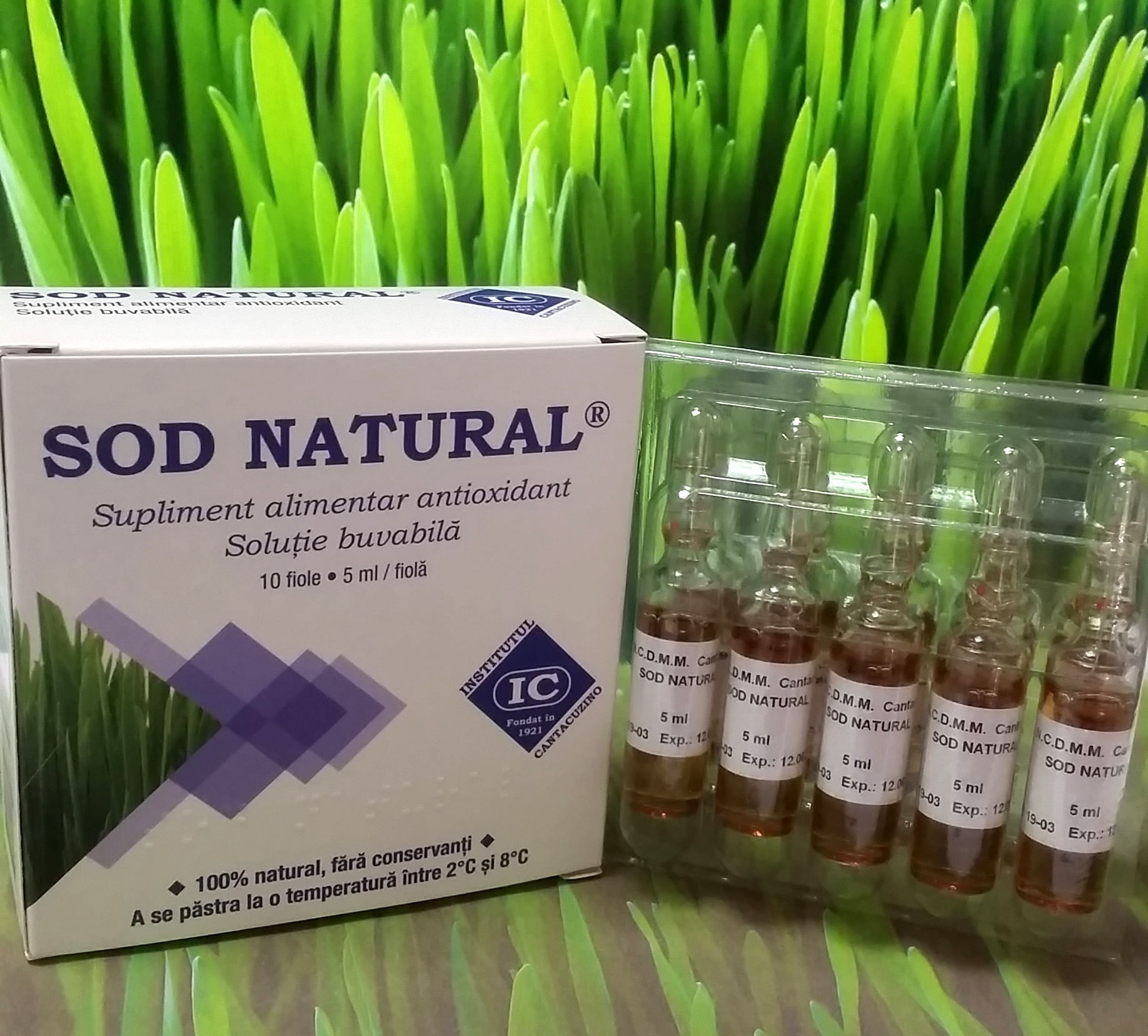 Sod natural, de la Institutul Cantacuzino, cutie cu 10 fiole, cura completa pe un an, contine 36 cutii - imagine 2
