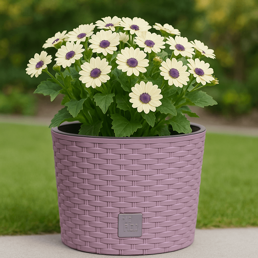 Ghiveci rotund mocca, plastic rezistent, imitatie ratan, diametru 20 cm, inaltime 19 cm — imaginea 3