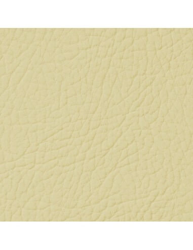 Vopsea piele Crem Susan LEATHER EXPERT Leather Colourant 250ml - 2 | YEO