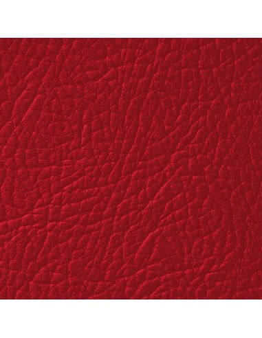 Vopsea piele Rosu Flamenco LEATHER EXPERT Leather Colourant 250ml - 2 | YEO