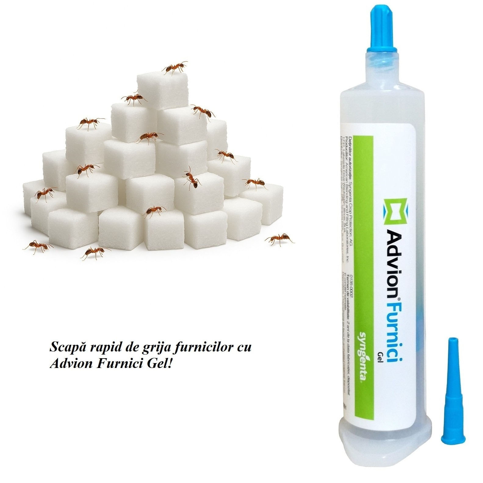 Advion Furnici Gel, 30 g, Eliminare Furnici + Kit Aplicare LittleDomi (Aplicator cu Piston, Bete de Portocal, Manusi) - imagine 5