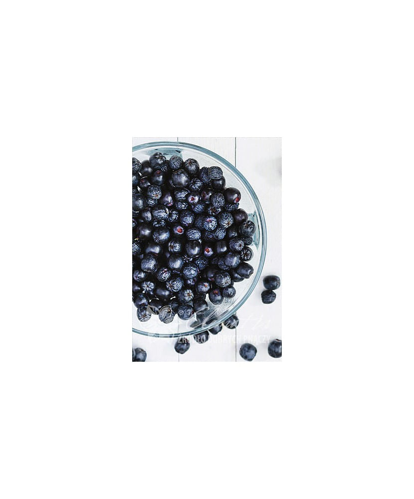 Planta, Aronia Viking, Aronia x prunifolia Viking, ghiveci P9 litri