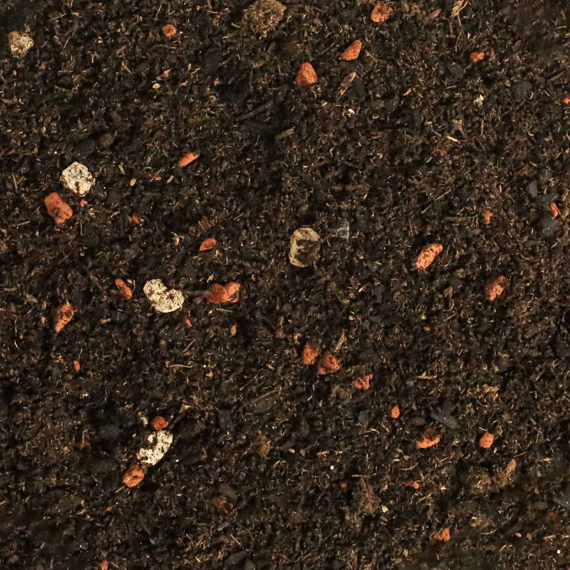 Substrat natural Dr.Soil pentru bonsai si alte plante de ghiveci altoite la punga de 1L