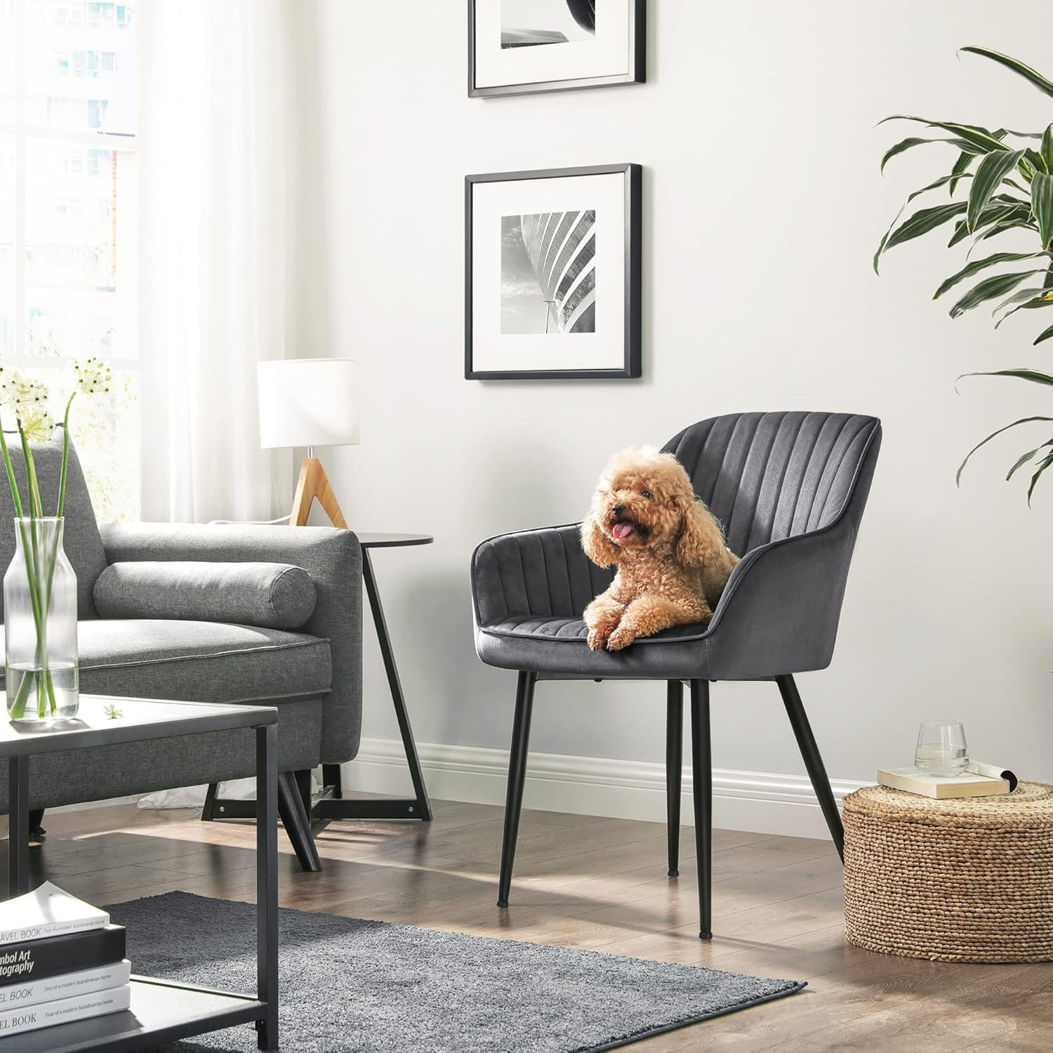 Scaun living tapitat din catifea cu cotiere, sarcina 110 kg, 63x60x85 cm, gri — imaginea 7