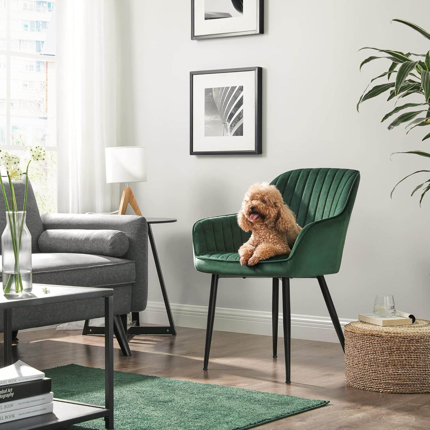 Scaun living tapitat din catifea cu cotiere, sarcina 120 kg, 63x60x85 cm, verde — imaginea 4
