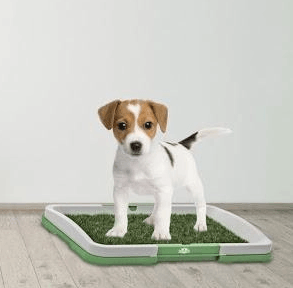 Tavita Toaleta cu iarba artificiala pentru animale Puppy Potty Pad - imagine 2