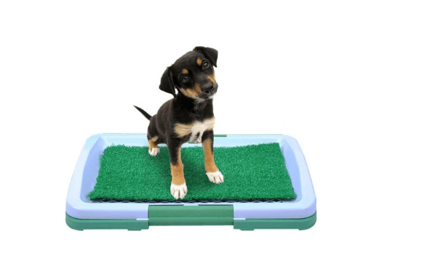 Tavita Toaleta cu iarba artificiala pentru animale Puppy Potty Pad - imagine 7