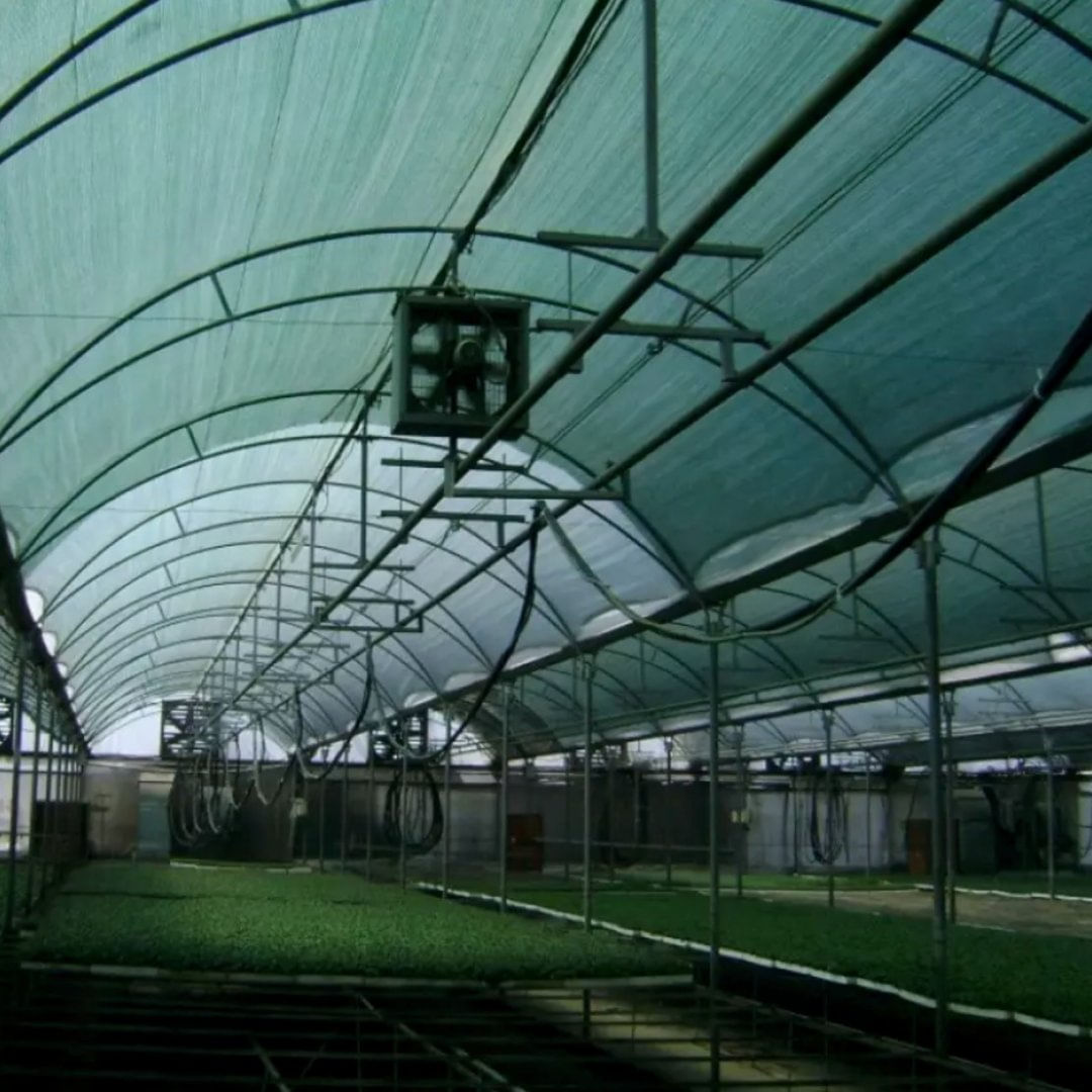Plasa umbrire 40%, verde, 12 m inaltime x 100 m lungime
