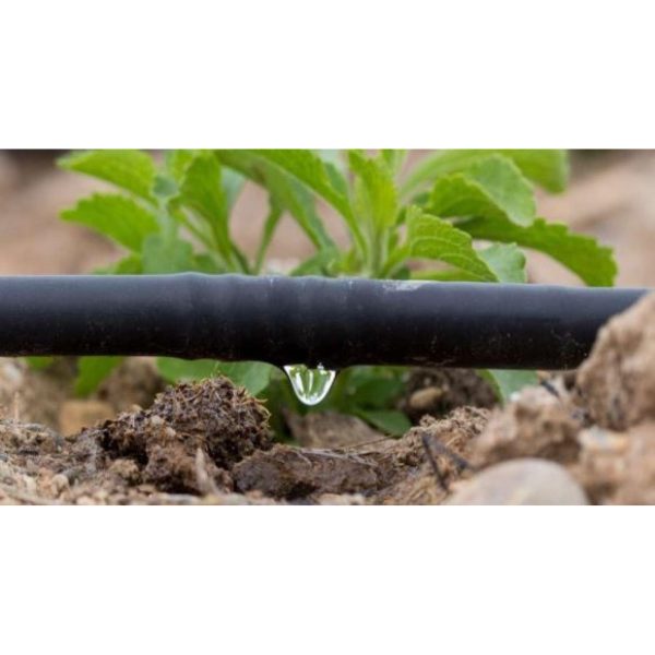 Banda Picurare 6mil, 3000ml/rola, Distanta dintre picuratori 15cm