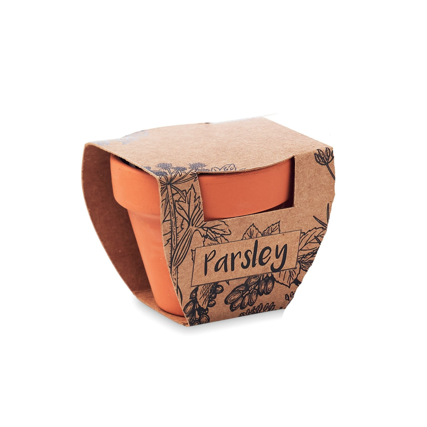 Kit Gradinarit, Ghiveci de Teracota cu Seminte de Patrunjel, 5x6x5.5 cm — imaginea 2