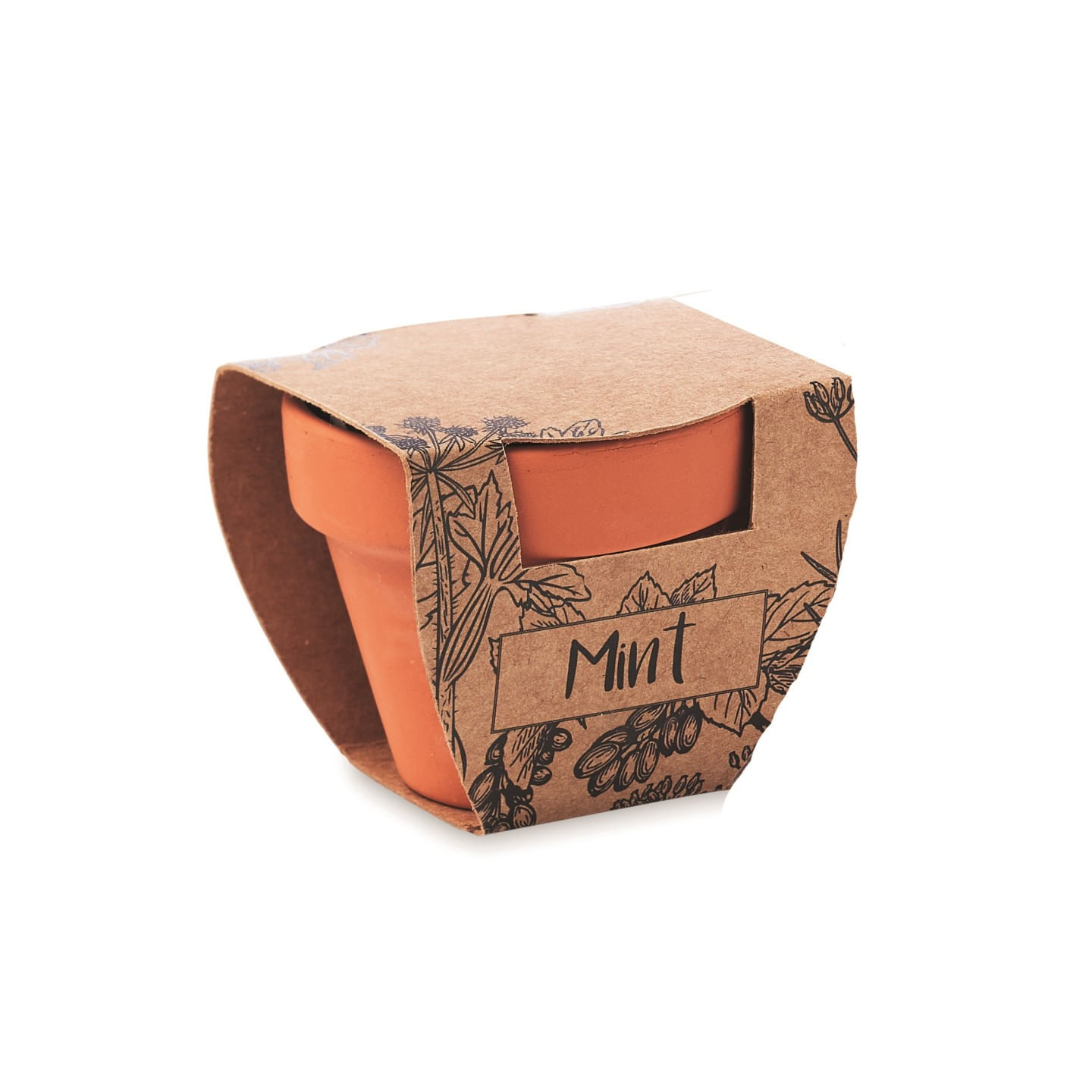 Kit Gradinarit, Ghiveci de Teracota cu Seminte de Menta,, 5x6x5.5 cm — imaginea 2