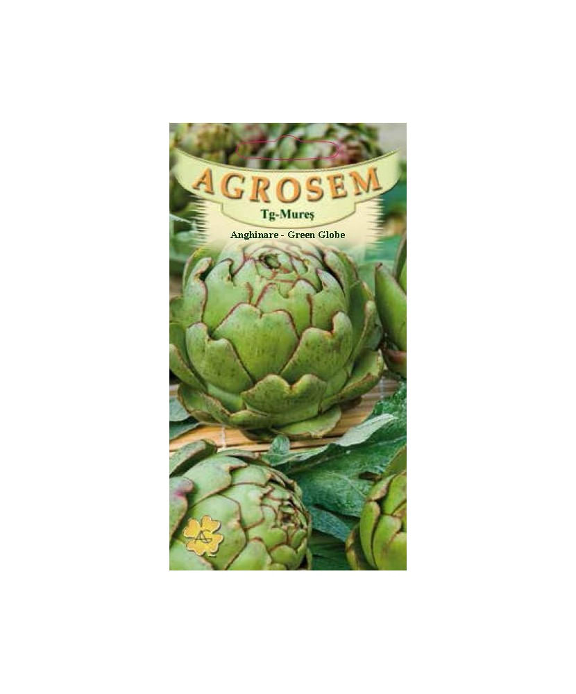 Seminte,Anghinare Green Globe 0.7gr — imaginea 2