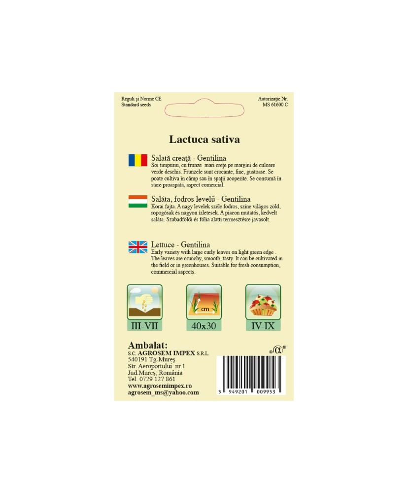 Seminte,Salata Gentilina 1.5gr — imaginea 2