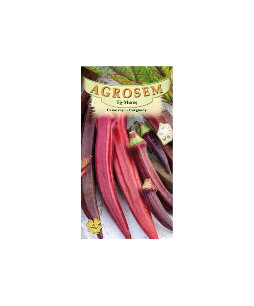 Seminte,Bame rosii Burgundy 2gr — imaginea 2