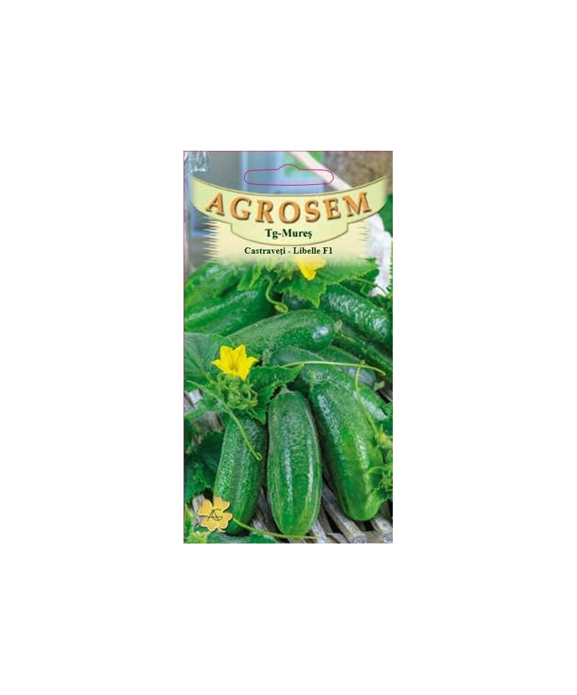 Seminte,Castraveti Libelle F1 2gr — imaginea 2
